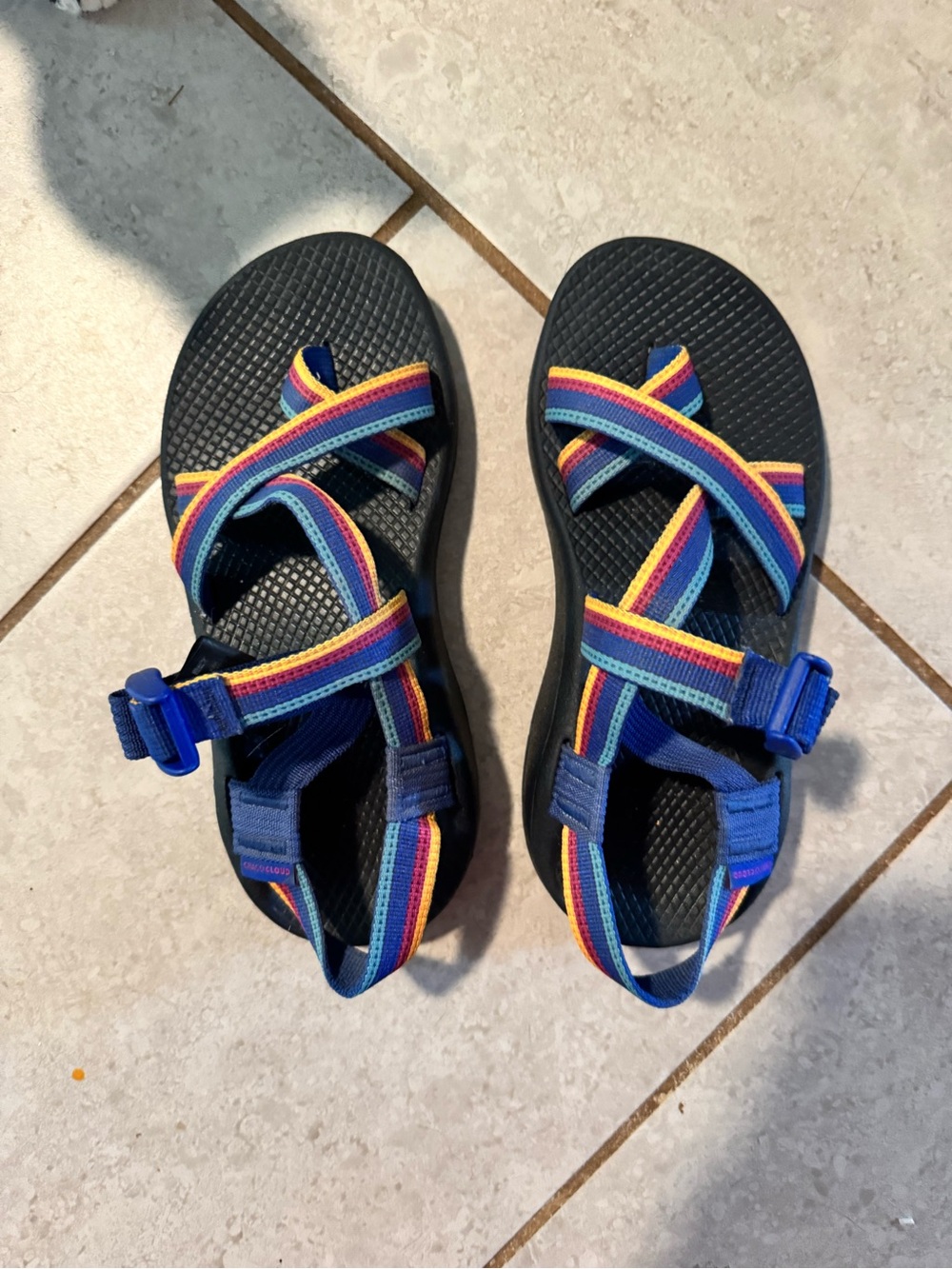 Chaco Women's Z/Cloud 2 Wide Sandals in the Tetra Sunset